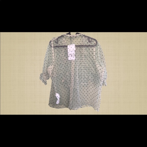 Brand NEW Zara sheer top - Picture 2 of 2